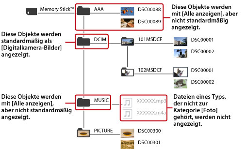 Alle Ordner und Bilddateien, die zur Kategorie „Foto“ gehören, werden angezeigt.