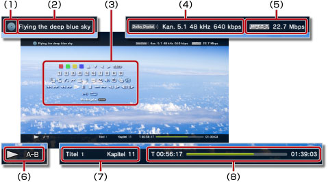 Status-/Informationsanzeige während der Videowiedergabe. Gekennzeichnet mit 1 bis 8, beginnend oben links.