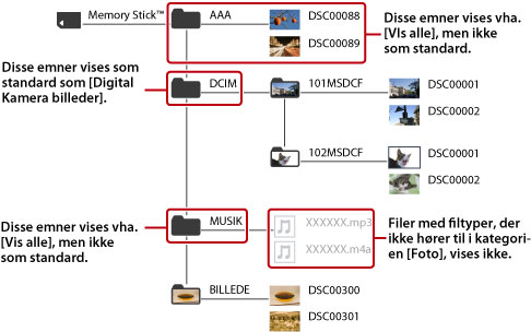 Alle mapper og billedfiler, der tilhører fotokategorien, vises.