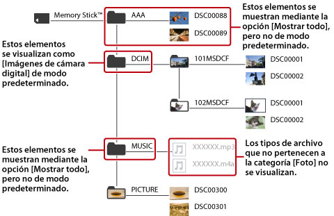 Se muestran todas las carpetas e imágenes que pertenecen a la categoría de fotos.