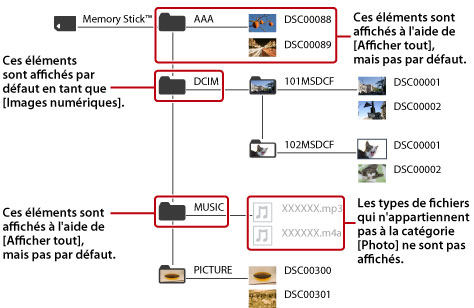 Tous les dossiers et fichiers d'image relevant de la catégorie photo s'affichent.