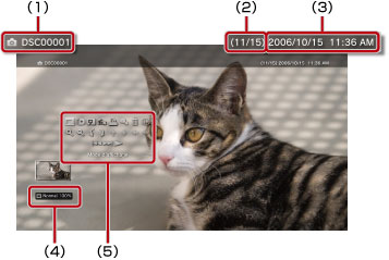 Indications de 1 à 5 en partant du coin supérieur gauche.