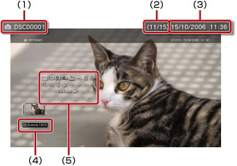 Legenda da 1 a 5 partendo dalla parte sinistra in alto.