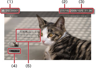 左上から順に1から5まで。