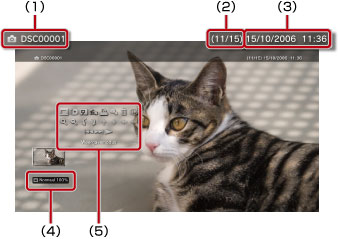 Vanaf bovenaan links gelabeld van 1 tot 5.