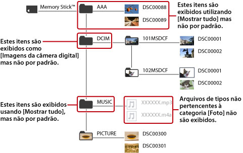 Todos os arquivos de imagem e pastas que pertencem à categoria de fotos são exibidos.