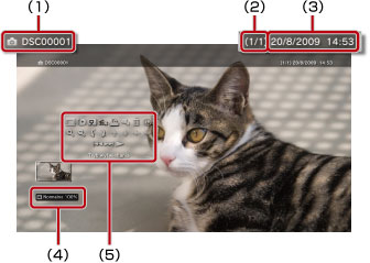 Oznaczenia od 1 do 5 od lewego górnego rogu.