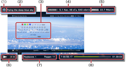 Статус/информация во время просмотра видео. Маркировка от 1 до 8, начиная слева сверху.