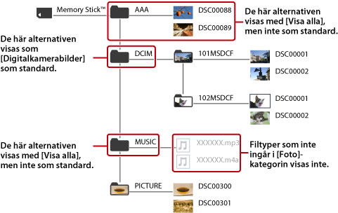 Alla mappar och bildfiler som tillhör fotokategorin visas.