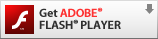 הורד את Adobe Flash Player