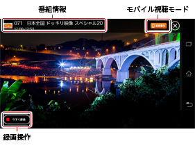 放送中の番組