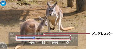 ビデオモード