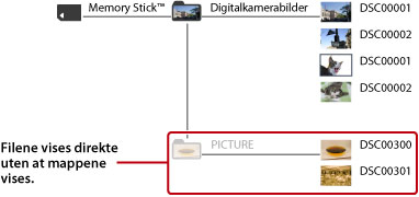 Mapper og bildefiler lagret i DCIM-mappen, vises. Bildefiler i PICTURE-mappen vises direkte uten at mapper vises.